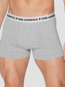 Нижня білизна Karl Lagerfeld модель A1M47151;900 Фото