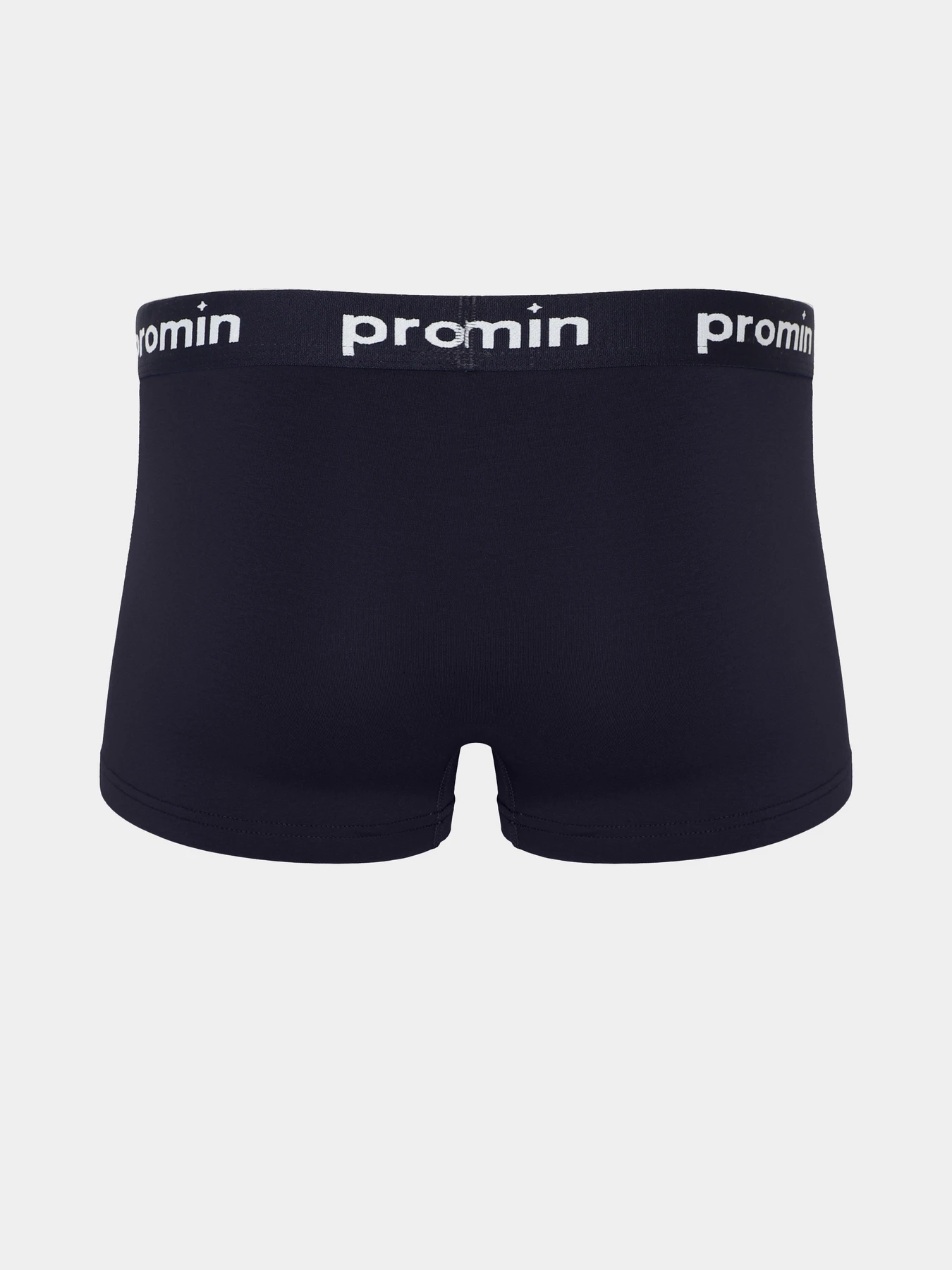 Нижня білизна Promin модель 1991-05_264 Нижня білизна Promin модель 1991-05_264 Фото