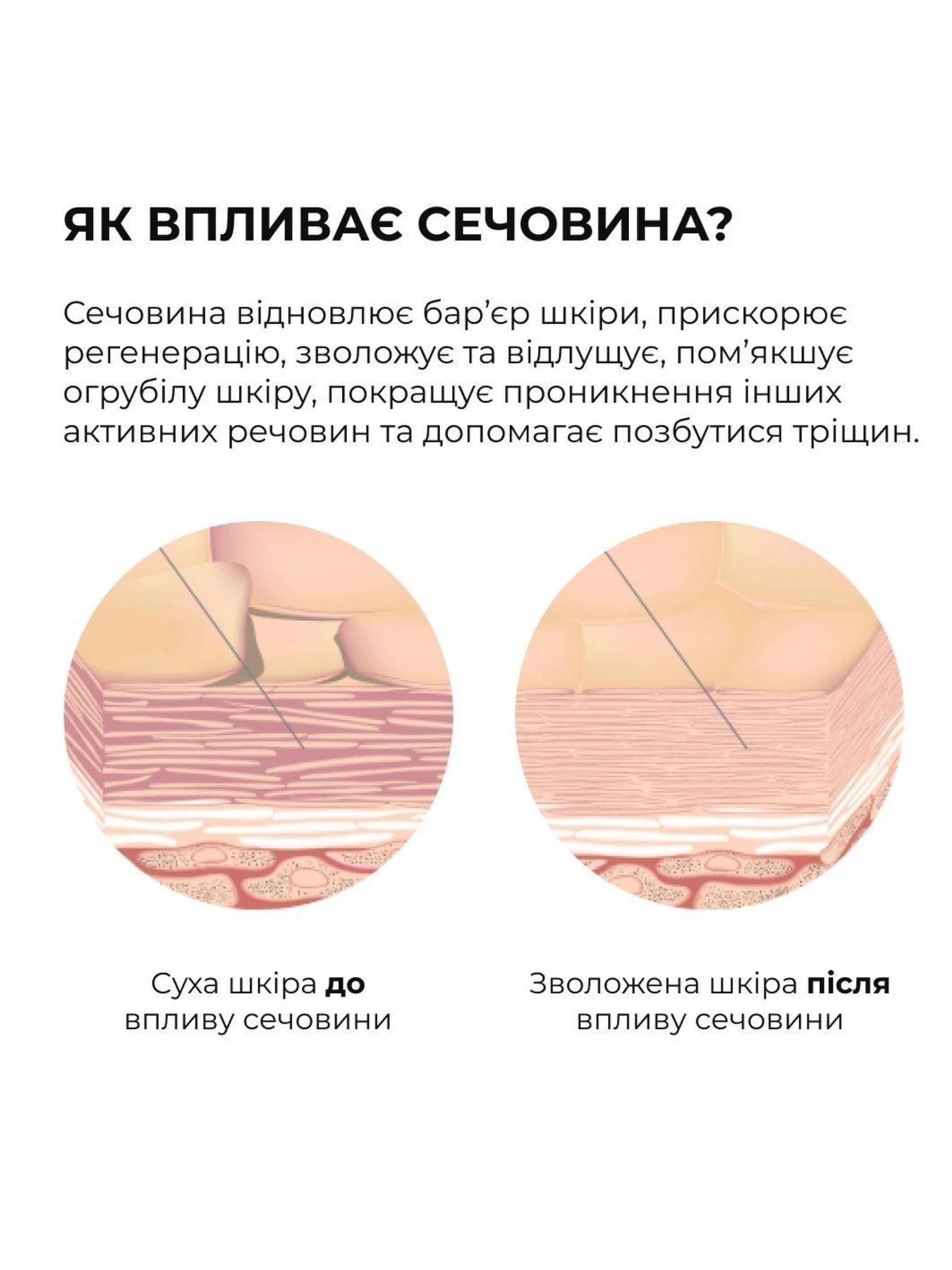 Набір для підготовки шкіри та рівномірної засмаги Hillary Skin Prep & Even Tan Set Hillary модель K-11-008 Набір для підготовки шкіри та рівномірної засмаги Hillary Skin Prep & Even Tan Set Hillary модель K-11-008 Фото