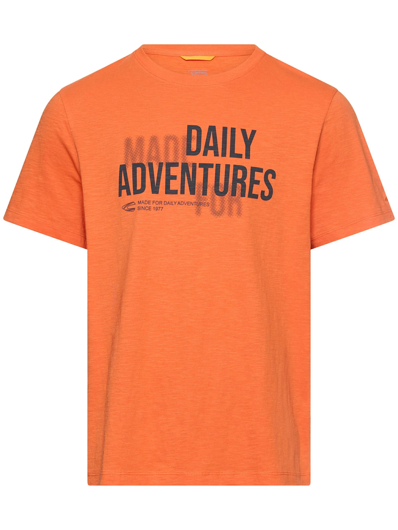Футболки и поло Camel Active T-shirts 1/2 sleeves модель 409700-7T17-66 Футболки и поло Camel Active T-shirts 1/2 sleeves модель 409700-7T17-66 Фото
