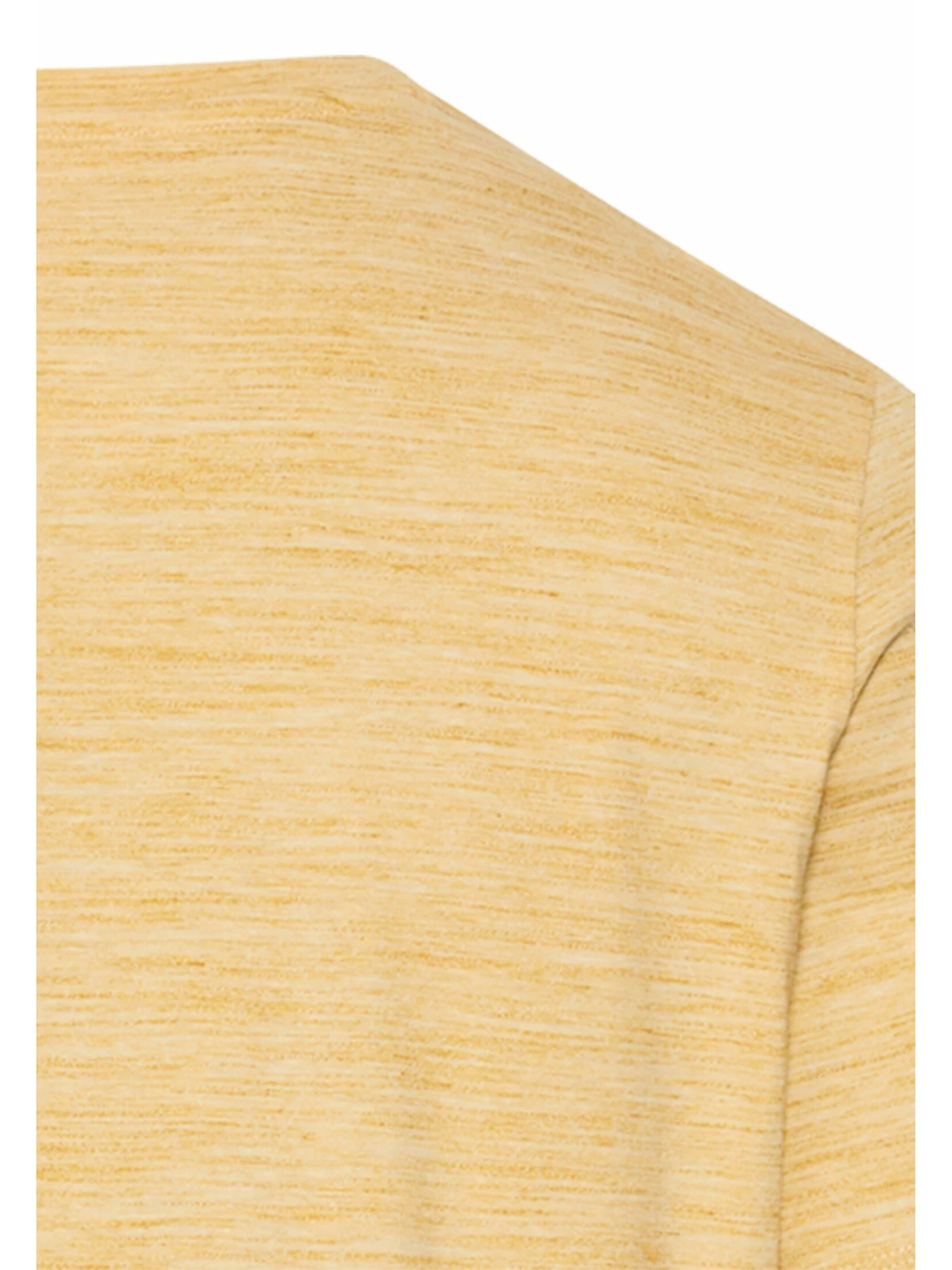 Футболки і поло Camel Active T-shirts 1/2 sleeves модель 409700-7T24-64 Фото