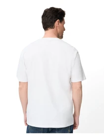 Футболки и поло Camel Active T-shirts 1/2 sleeves модель 409700-7T30-01 Фото