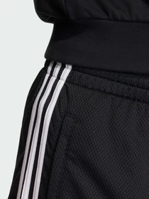 Шорти Adidas Adicolor модель KD4081 Фото