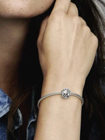 Класичні PANDORA Moments модель 790071C00 Фото