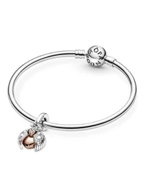 Классические PANDORA Moments модель 780072C01 Фото