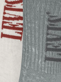 Шкарпетки та гольфи Levi's модель 701232256;003 Фото