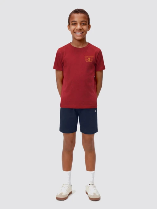 Костюмы Champion модель 307556-RS014 Фото