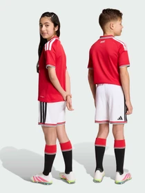 Шорты Adidas модель KC4782 Фото