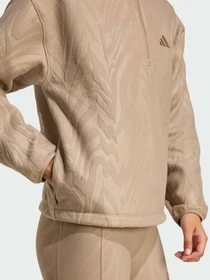 Худи и свитшоты Adidas модель JX3122 Фото