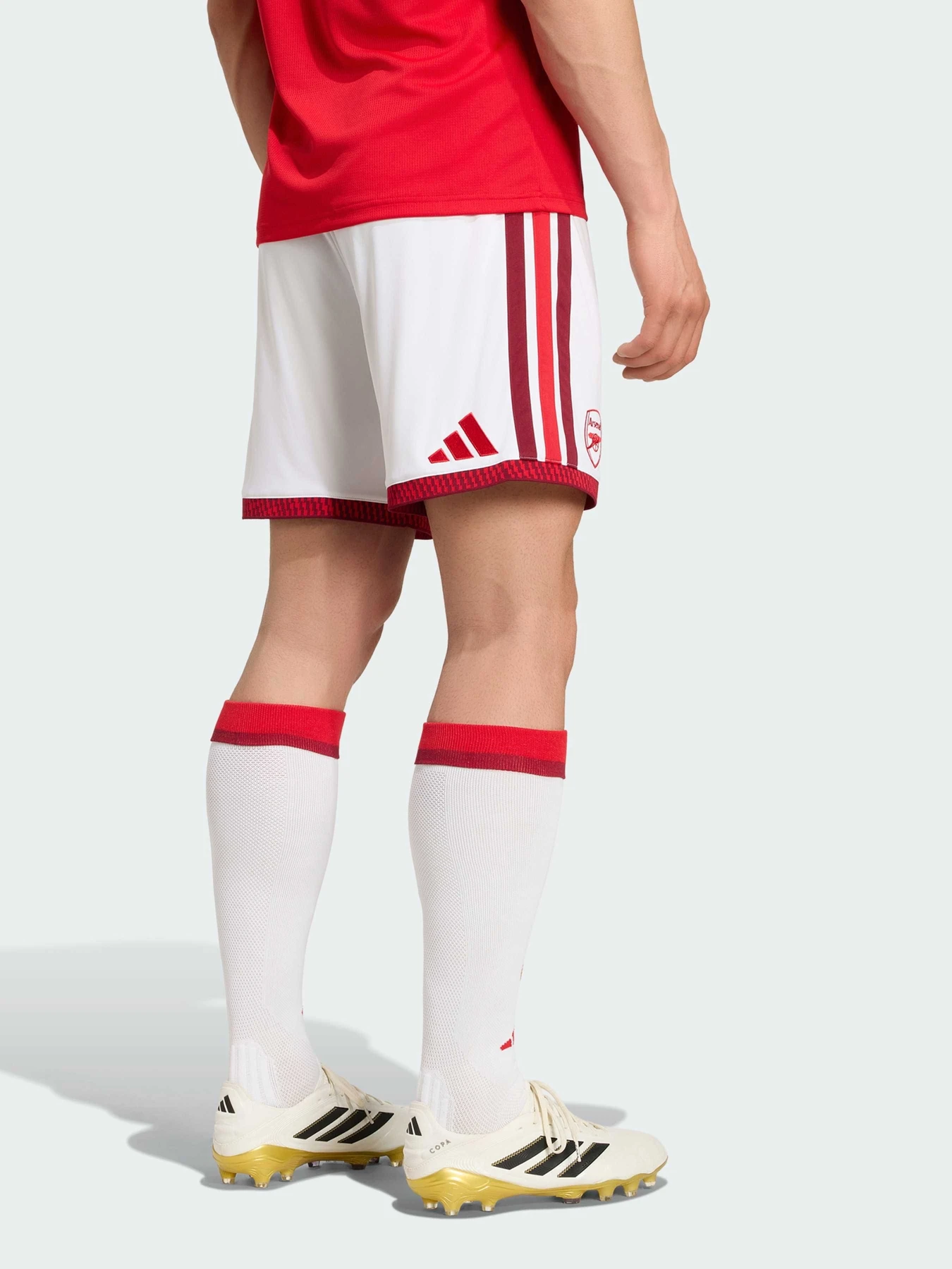 Шорти Adidas модель JZ3169 Фото