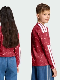 Худи и свитшоты Adidas модель KB8261 Фото