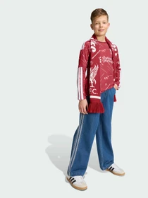 Худи и свитшоты Adidas модель KB8261 Фото