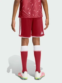Шорты Adidas модель KB8264 Фото