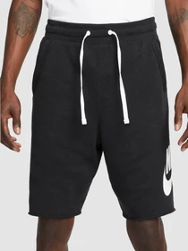 Шорты NIKE NK CLUB ALUMNI HBR FT SHORT модель DX0502-010 Фото
