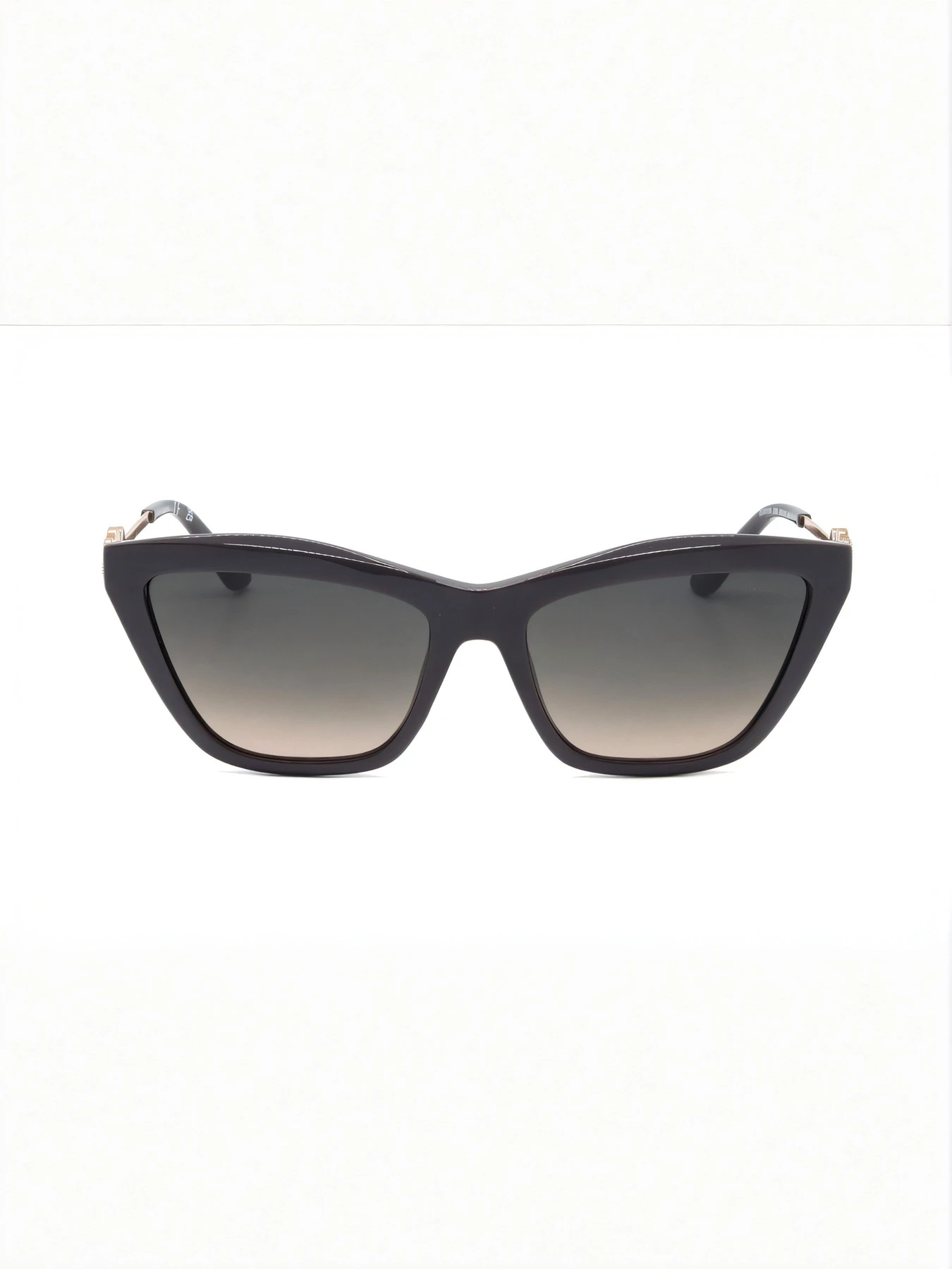 Очки GUESS модель E0000506302 Фото