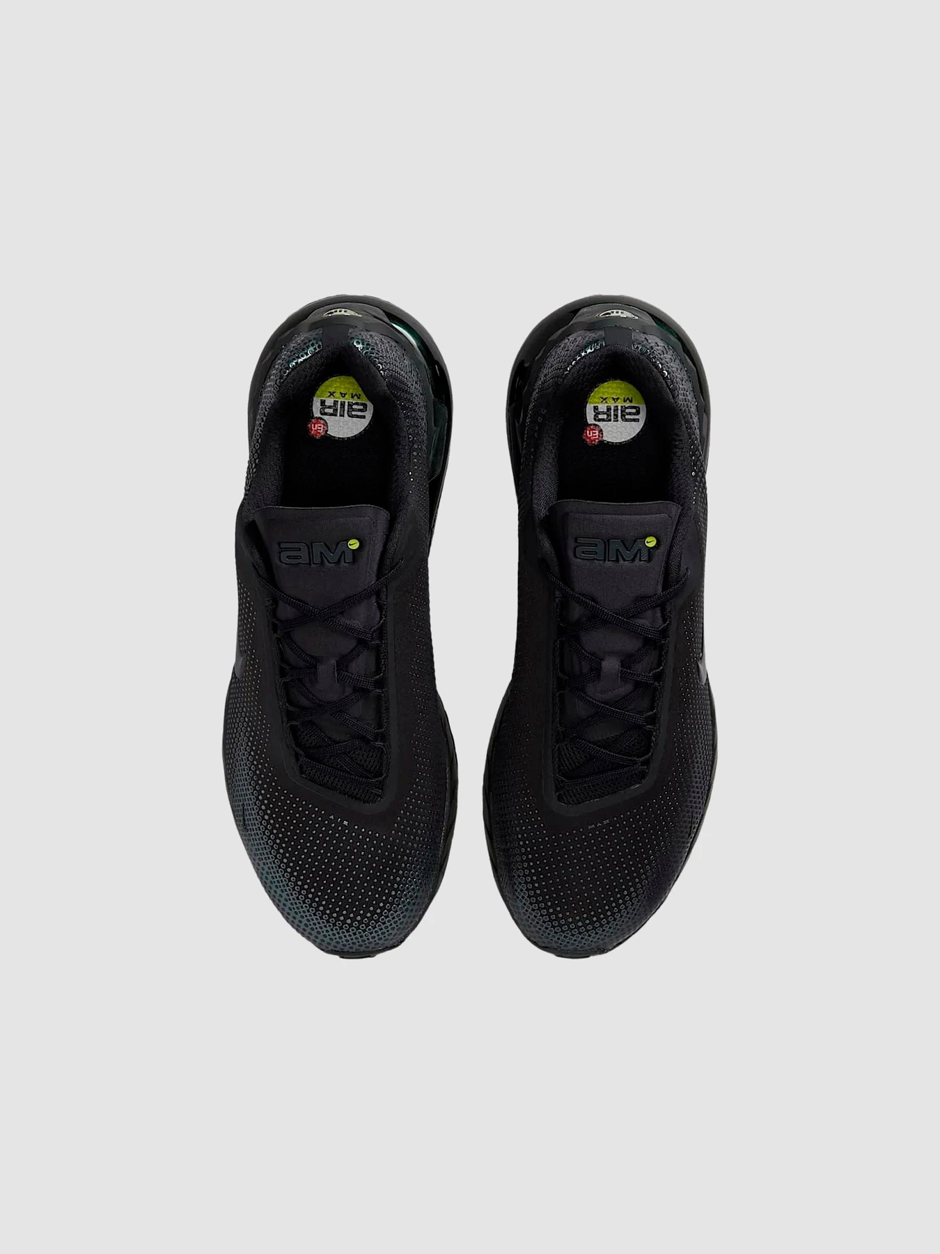 Кроссовки NIKE Air Max Phoenix модель FZ5307-004 Фото