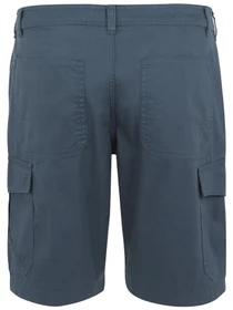 Шорты Regatta Ruwanshort модель RMJ310-20I Фото