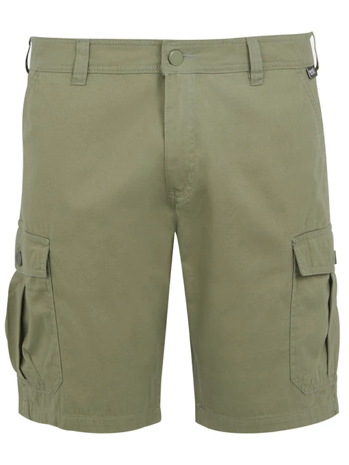 Шорты Regatta Ruwanshort модель RMJ310-9B9 Фото