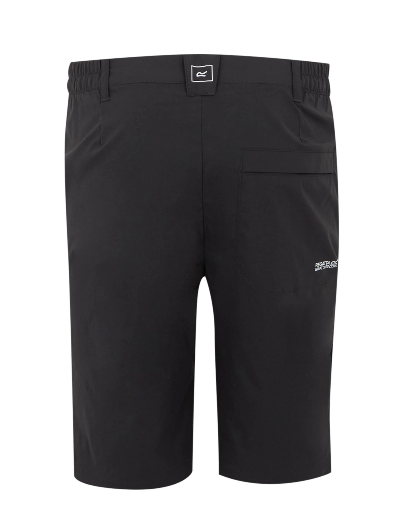 Шорты Regatta Hightonshortlngii модель RMJ316-61I Шорты Regatta Hightonshortlngii модель RMJ316-61I Фото