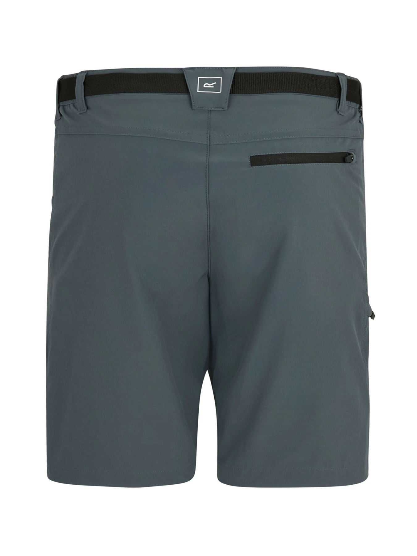 Шорты Regatta Xertstretchshorts модель RMJ365-EN9 Шорты Regatta Xertstretchshorts модель RMJ365-EN9 Фото