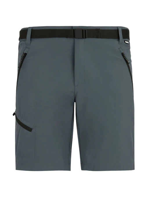 Чоловічі Повсякденні шорти Regatta Xertstretchshorts фото 3