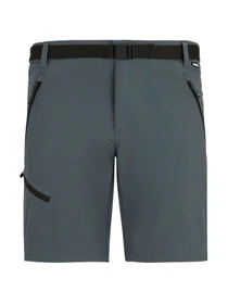 Шорты Regatta Xertstretchshorts модель RMJ365-EN9 Фото