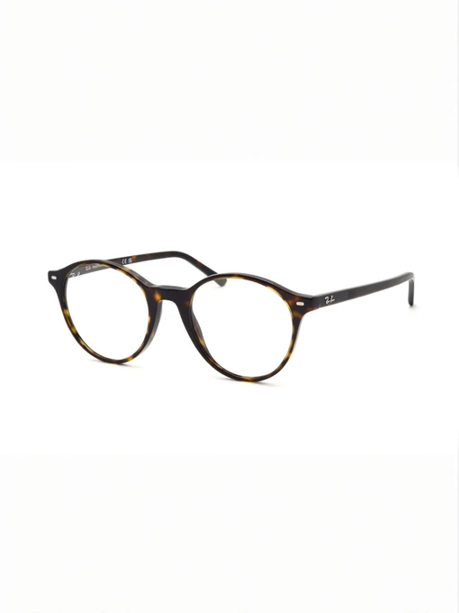 Очки Ray-Ban модель E0000497252 Фото