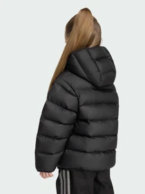 Куртки та дублянки Adidas модель KS1715 Фото