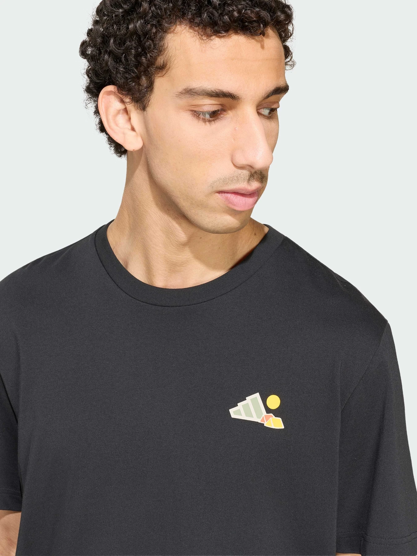 Футболки и поло Adidas модель KS2518 Футболки и поло Adidas модель KS2518 Фото
