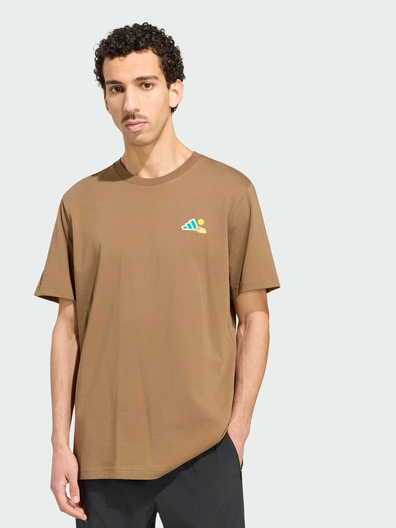 Футболки и поло Adidas модель KS2519 Футболки и поло Adidas модель KS2519 Фото