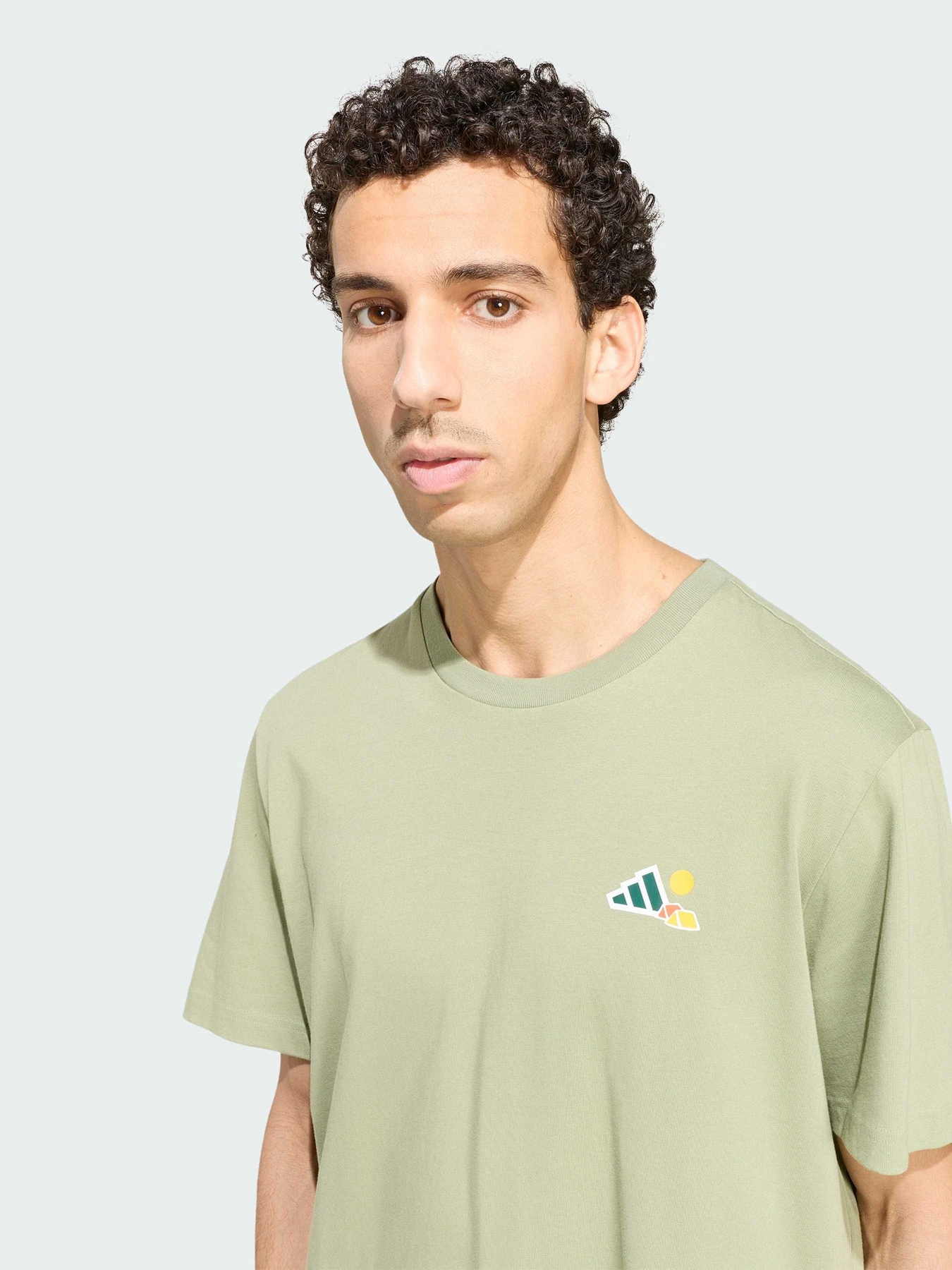 Футболки і поло Adidas модель KS2520 Футболки і поло Adidas модель KS2520 Фото