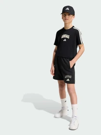 Футболки и поло Adidas модель KE1638 Фото