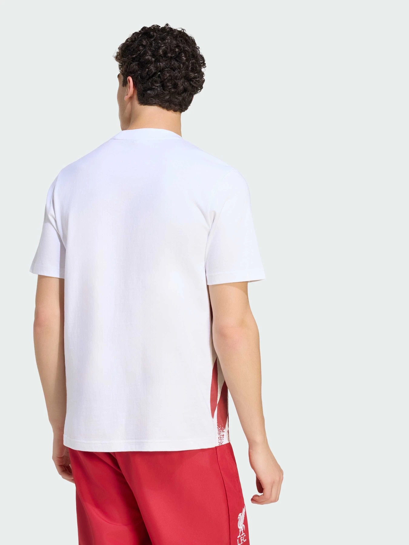 Футболки и поло Adidas модель KG2891 Футболки и поло Adidas модель KG2891 Фото