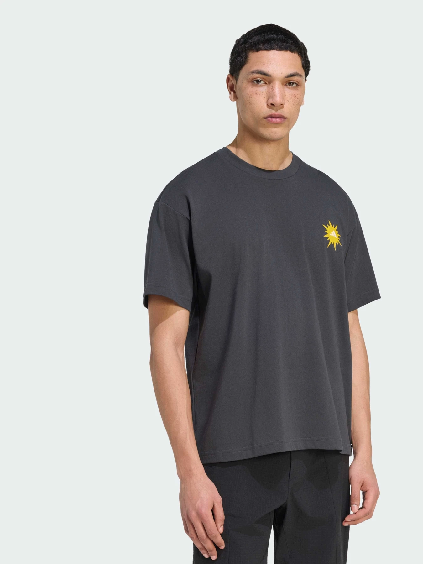 Футболки и поло Adidas модель KS2529 Футболки и поло Adidas модель KS2529 Фото