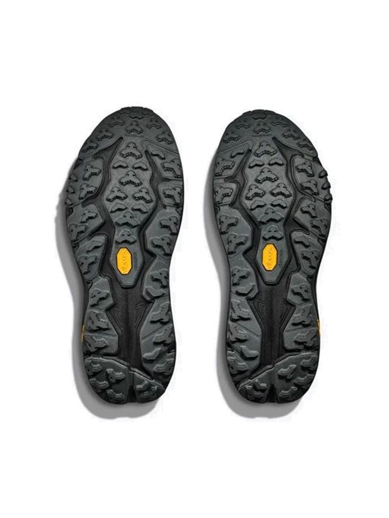Кроссовки HOKA Speedgoat 6 Gtx модель 197634477619 Фото