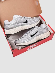 Кросівки NIKE P-6000 модель CD6404-105 Фото