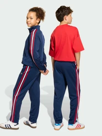 Штани Adidas Adicolor модель KC9497 Фото