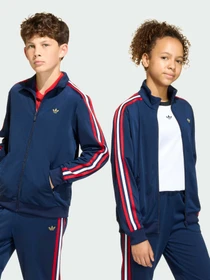 Худи и свитшоты Adidas Adicolor модель KC7045 Фото