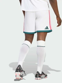 Шорты Adidas модель JZ7214 Фото