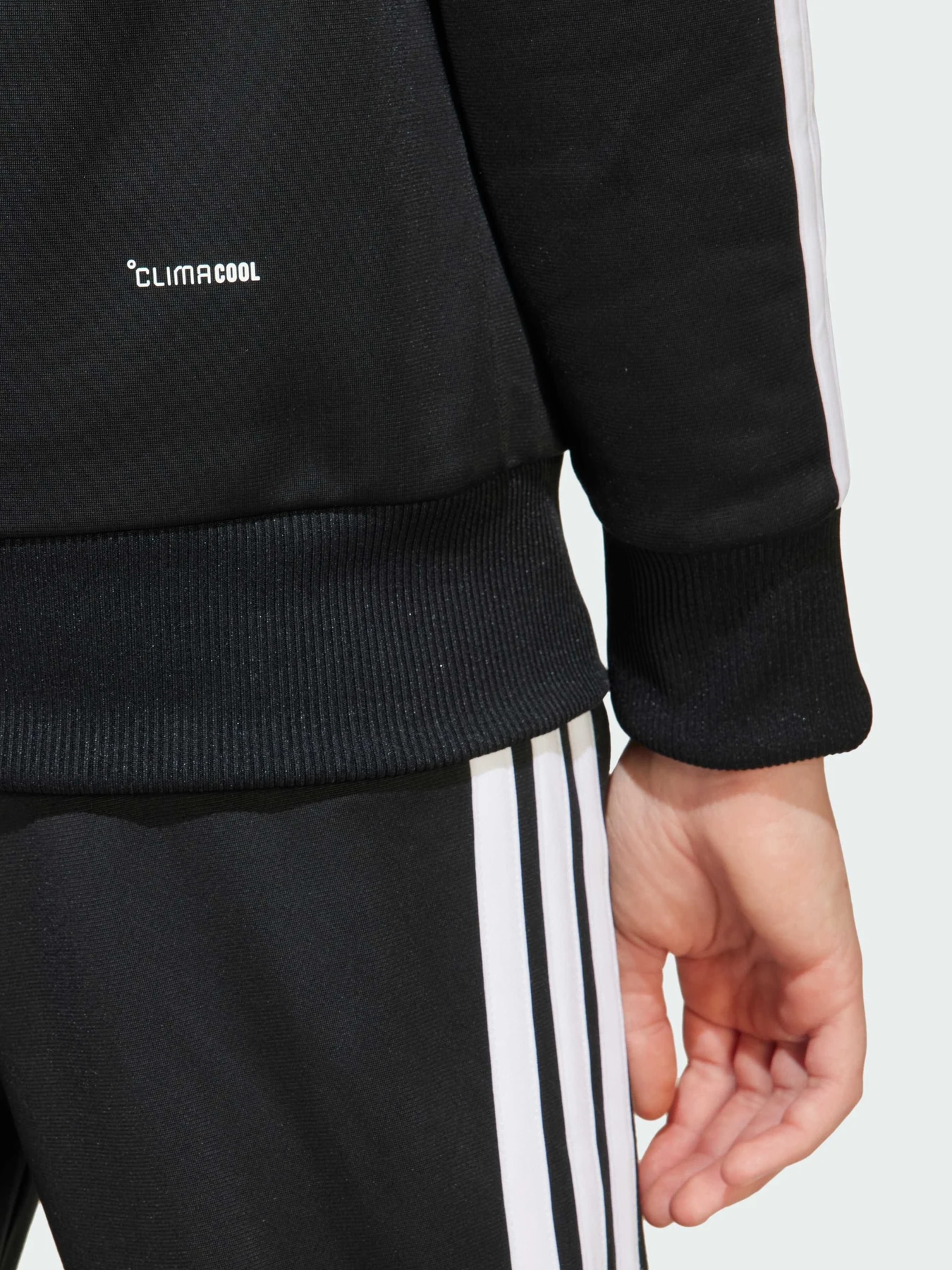 Костюмы Adidas 3 Stripes модель JY0509 Костюмы Adidas 3 Stripes модель JY0509 Фото
