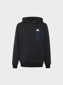 Худи и свитшоты Adidas модель KH3192 Фото