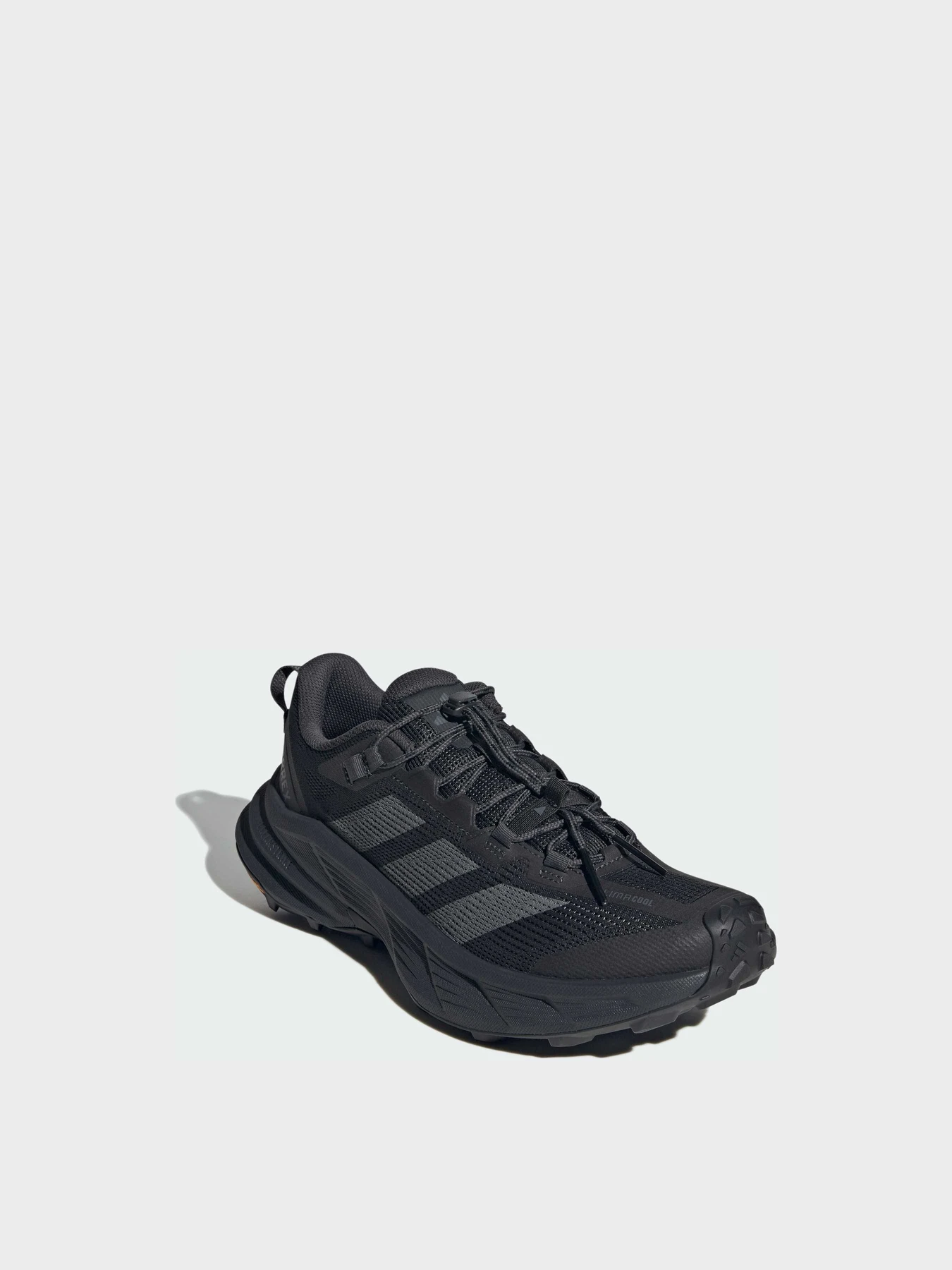 Кроссовки Adidas Terrex модель KJ0183 Кроссовки Adidas Terrex модель KJ0183 Фото
