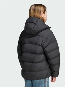 Куртки та дублянки Adidas модель KS1722 Фото
