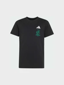 Футболки и поло Adidas модель KS9029 Фото
