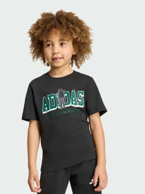Футболки и поло Adidas модель KS9034 Фото