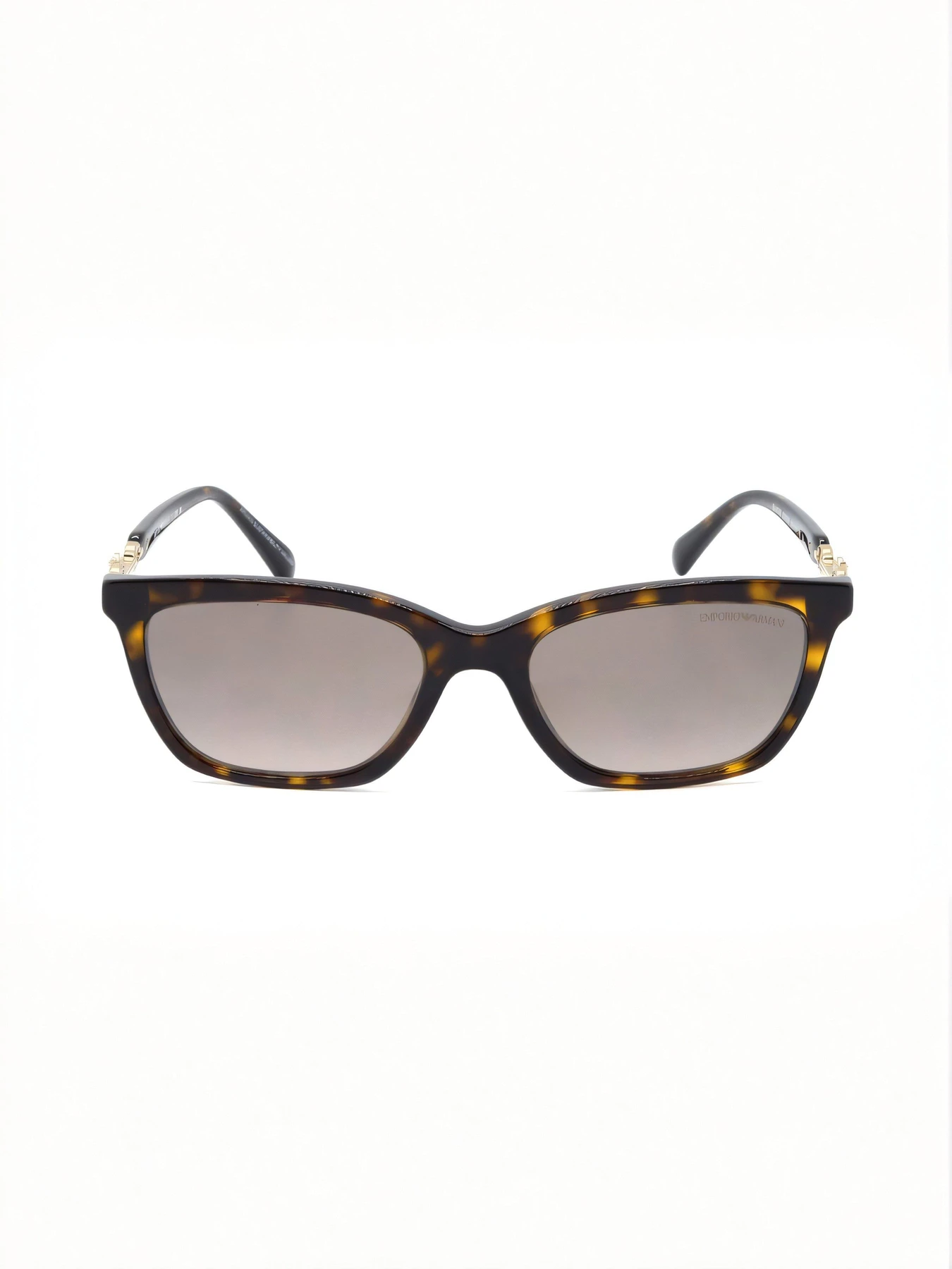 Очки Emporio Armani модель E0000495101 Фото