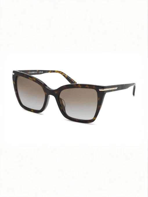 Очки Emporio Armani модель E0000583529 Фото