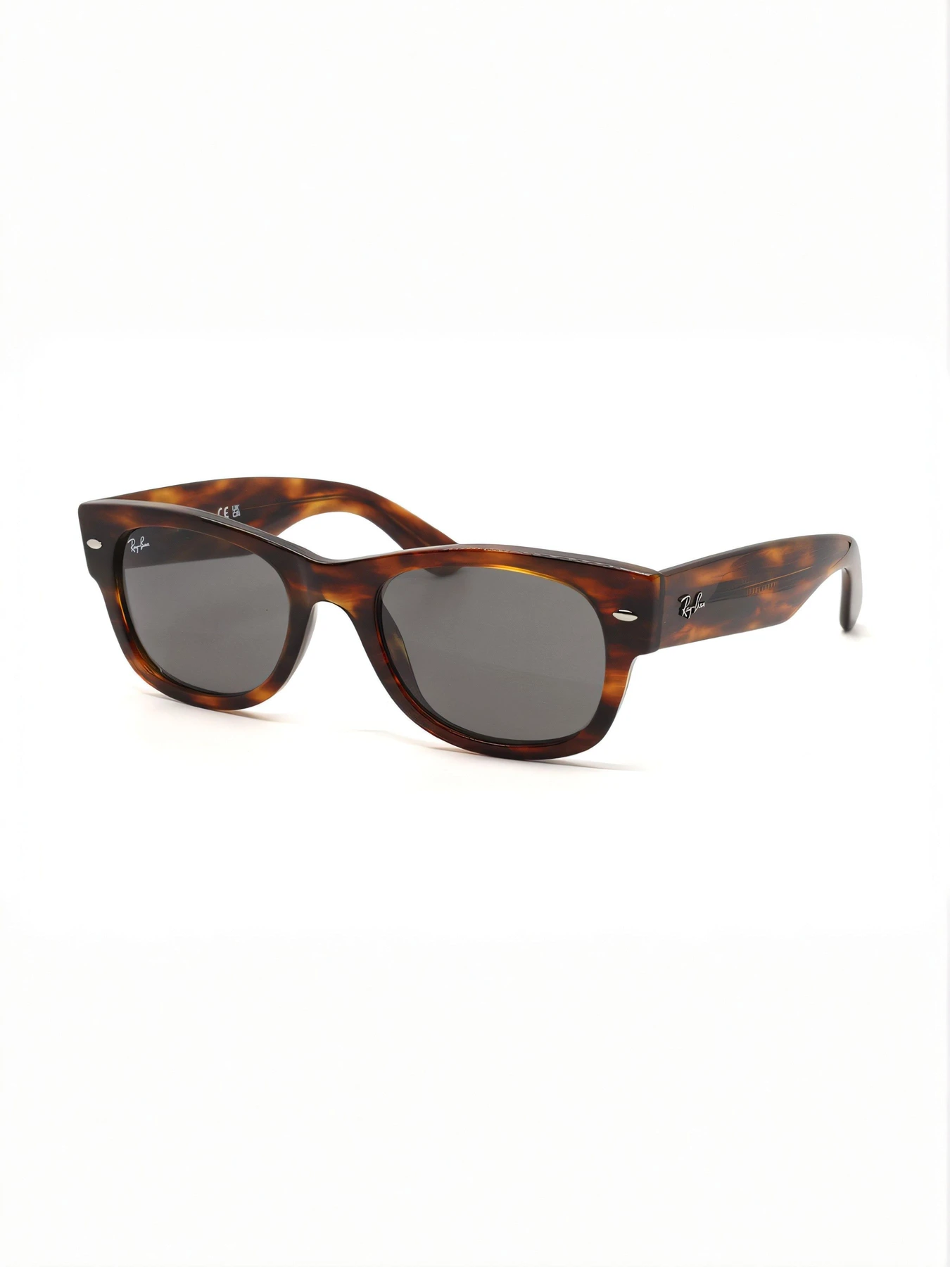 Очки Ray-Ban модель E0000586355 Очки Ray-Ban модель E0000586355 Фото