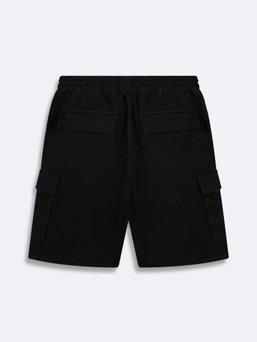 Чоловічі Джинсові шорти LTB Jeans фото 2