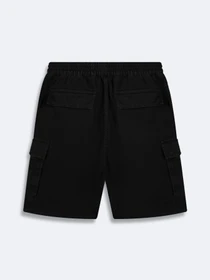 Шорты LTB Jeans модель 61200.15873.200 Фото